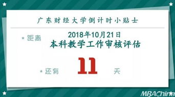 本科教学工作审核评估来了，快拿小本本记下要点——豪霖网络深度解析